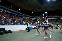 DSC_1914
