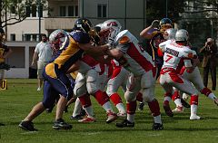 D2H_DSC_9666