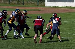 DSC_2012