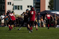 DSC_2530