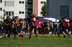 DSC_2531