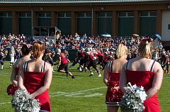DSC_8980