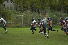 DSC_7133